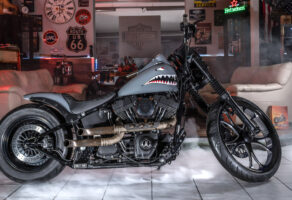 WarBird